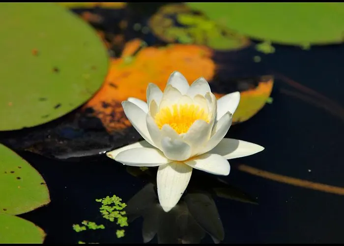 Karasu Hotel Hotel 3*